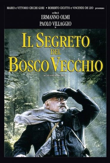 O SEGREDO DO BOSQUE VELHO